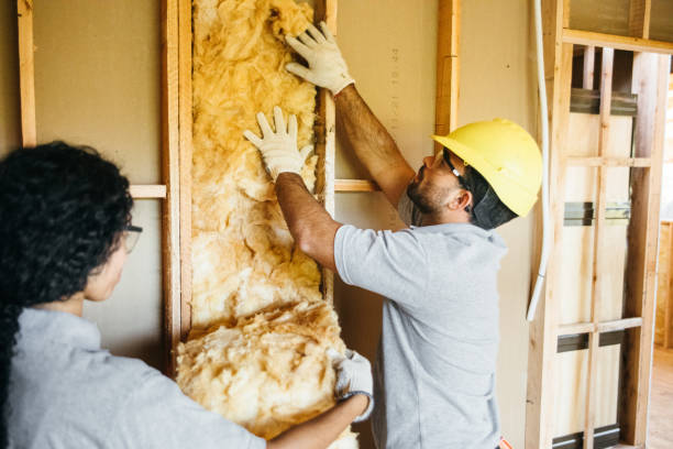 Best Spray Foam Insulation  in Fort Polk South, LA