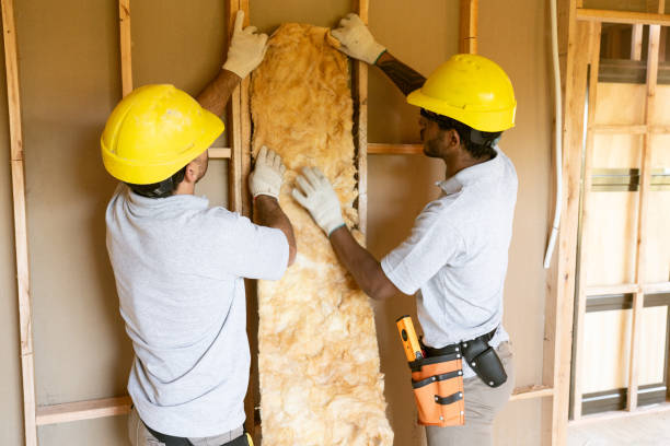 Best Local Insulation Services  in Fort Polk South, LA